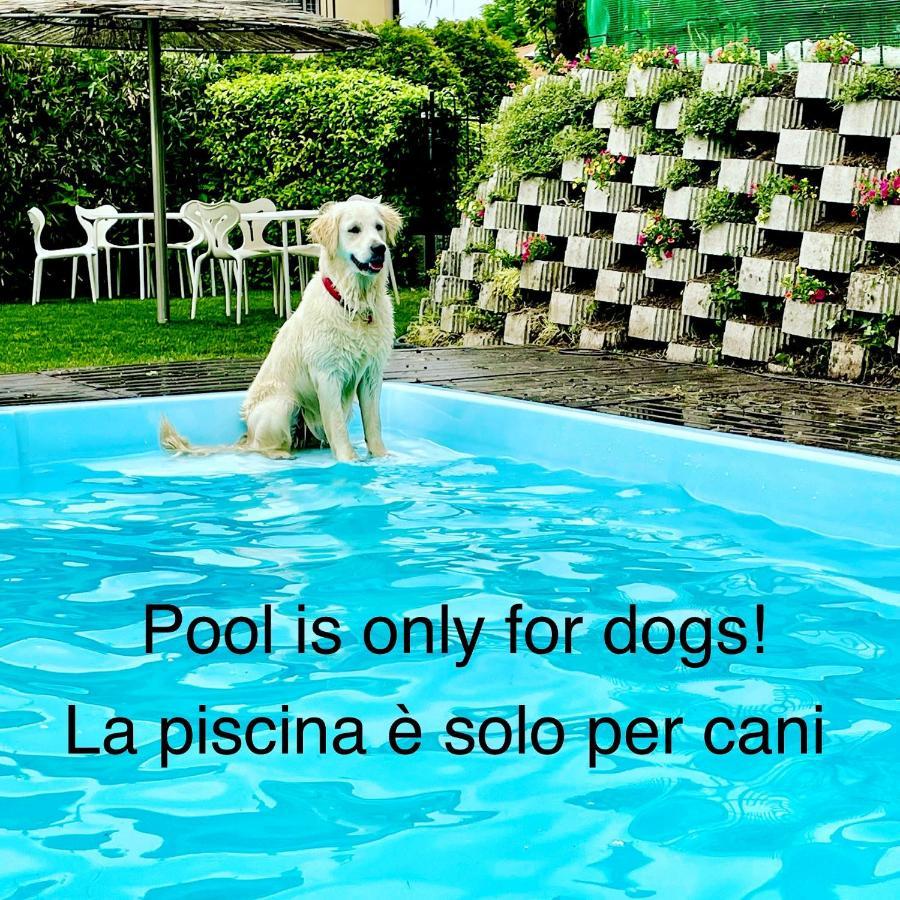Appartamenti Casa Lory Bellagio Bagian luar foto