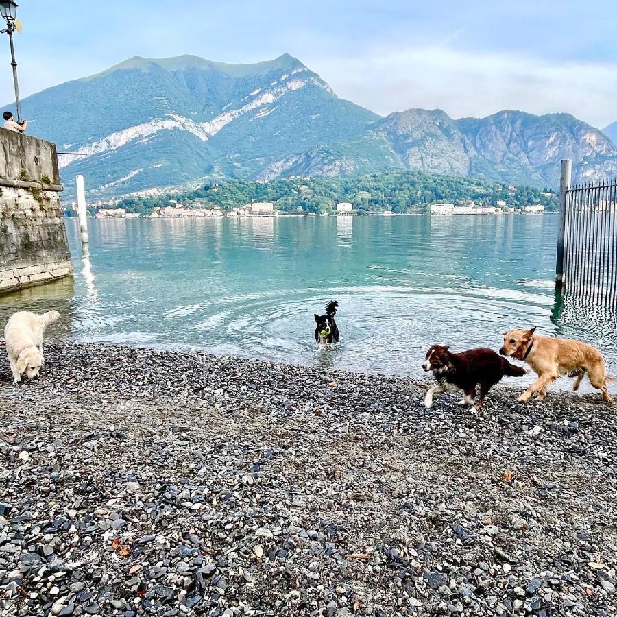 Appartamenti Casa Lory Bellagio Bagian luar foto